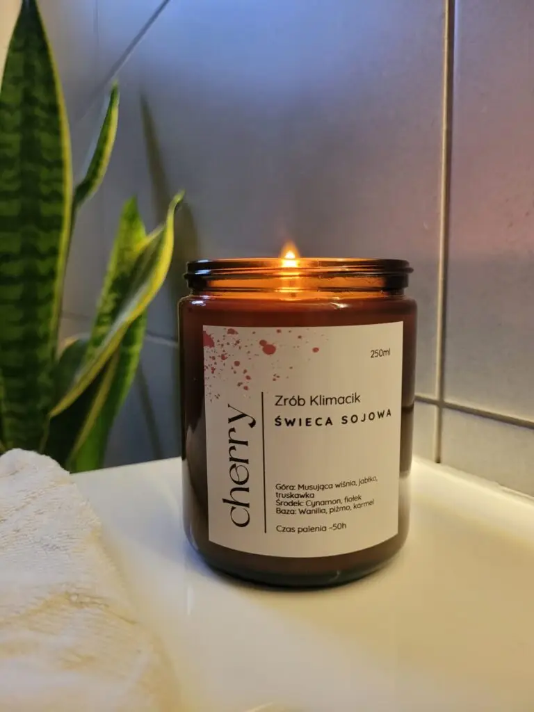 Zdjęcie WhatsApp 2025-01-10 o 12.00.14_ec28a572